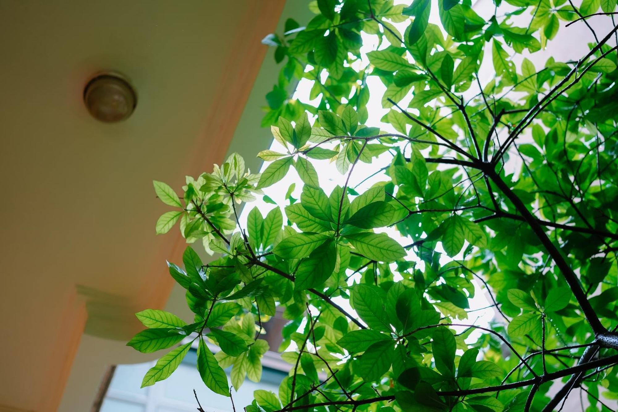 Morri - Quan Thanh Aparthotel